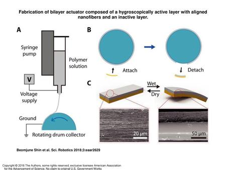Fabrication of bilayer actuator composed of a hygroscopically active layer with aligned nanofibers and an inactive layer. Fabrication of bilayer actuator.