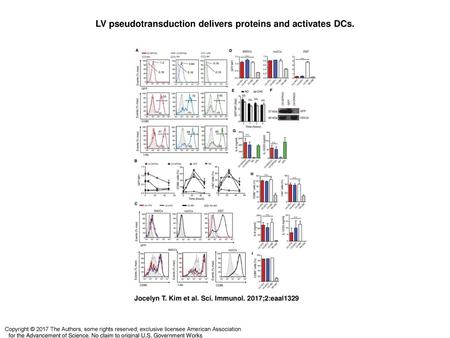 LV pseudotransduction delivers proteins and activates DCs.