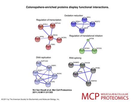 Colonopshere-enriched proteins display functional interactions.