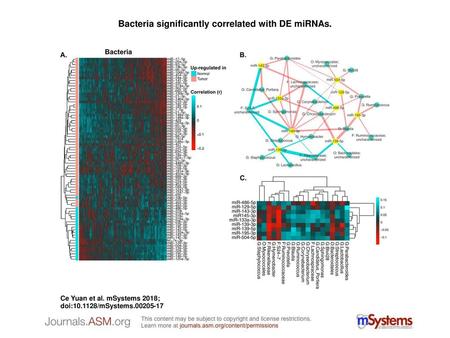 Bacteria significantly correlated with DE miRNAs.