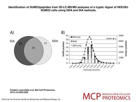 Identification of SUMO3peptides from 2D-LC-MS/MS analyses of a tryptic digest of HEK293-SUMO3 cells using DDA and DIA methods. Identification of SUMO3peptides.
