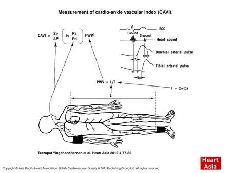 Measurement of cardio-ankle vascular index (CAVI).