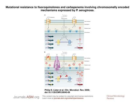 Mutational resistance to fluoroquinolones and carbapenems involving chromosomally encoded mechanisms expressed by P. aeruginosa. Mutational resistance.