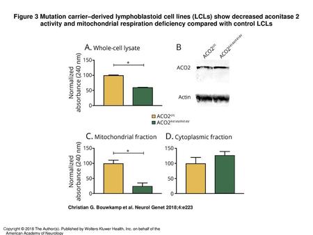 Figure 3 Mutation carrier–derived lymphoblastoid cell lines (LCLs) show decreased aconitase 2 activity and mitochondrial respiration deficiency compared.