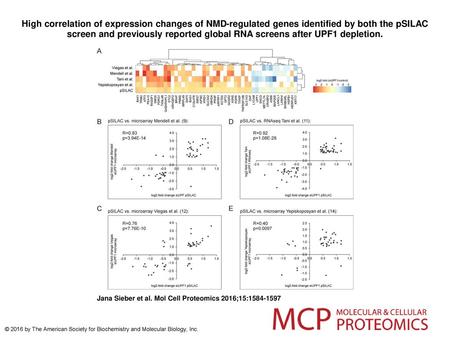 High correlation of expression changes of NMD-regulated genes identified by both the pSILAC screen and previously reported global RNA screens after UPF1.
