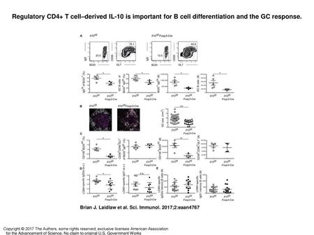Regulatory CD4+ T cell–derived IL-10 is important for B cell differentiation and the GC response. Regulatory CD4+ T cell–derived IL-10 is important for.