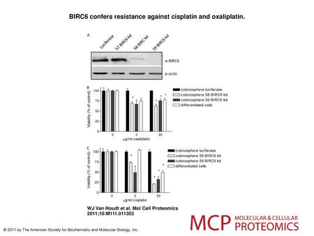BIRC6 confers resistance against cisplatin and oxaliplatin.