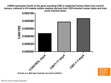 MRNA expression levels of the gene encoding CAR in explanted human islets from control donors, cultured in UV-treated culture medium derived from CBV-infected.