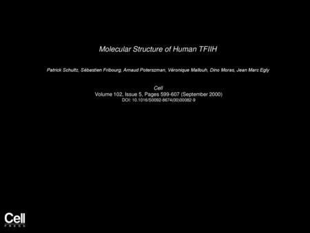Molecular Structure of Human TFIIH