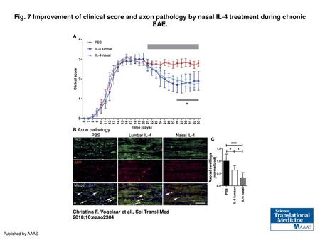 Fig. 7 Improvement of clinical score and axon pathology by nasal IL-4 treatment during chronic EAE. Improvement of clinical score and axon pathology by.