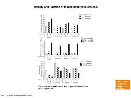 Viability and function of mouse pancreatic cell line.