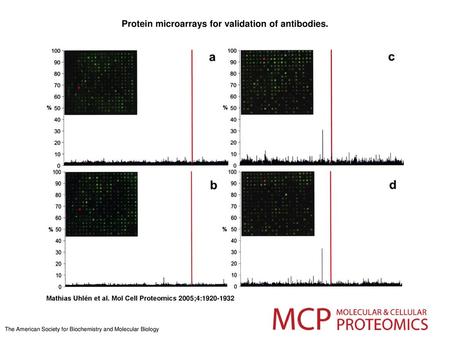 Protein microarrays for validation of antibodies.
