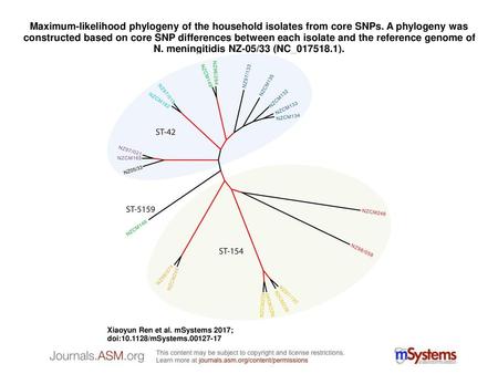 Maximum-likelihood phylogeny of the household isolates from core SNPs