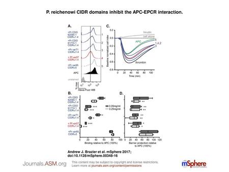 P. reichenowi CIDR domains inhibit the APC-EPCR interaction.