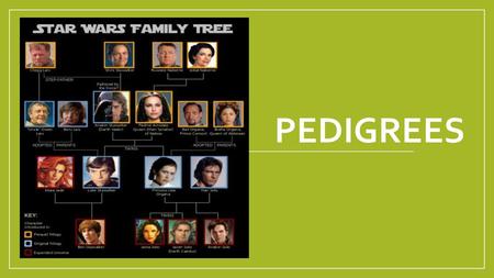Human Genetic Pedigrees What Is A Genetic Pedigree L A Genetic Pedigree Is An Easy Way To Track Your Family Traits It Looks Like A Family Tree But Ppt Download