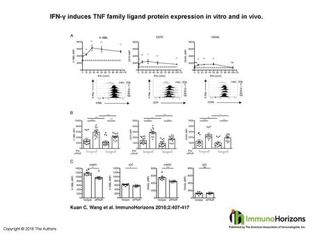 IFN-γ induces TNF family ligand protein expression in vitro and in vivo. IFN-γ induces TNF family ligand protein expression in vitro and in vivo. (A and.