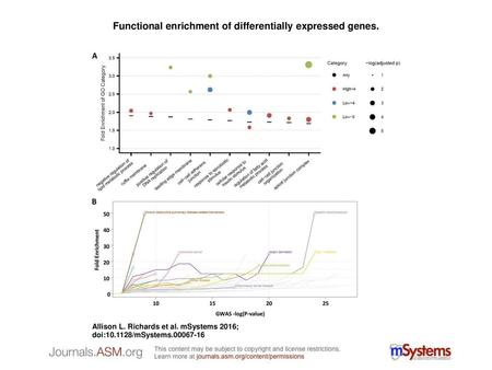 Functional enrichment of differentially expressed genes.