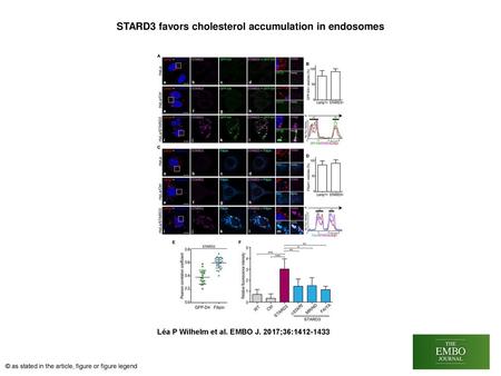 STARD3 favors cholesterol accumulation in endosomes