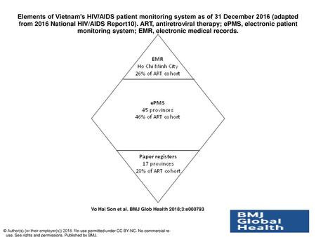 Elements of Vietnam’s HIV/AIDS patient monitoring system as of 31 December 2016 (adapted from 2016 National HIV/AIDS Report10). ART, antiretroviral therapy;