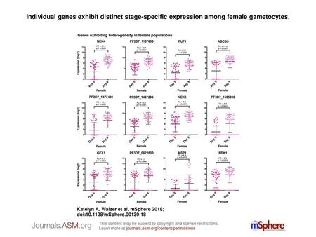 Individual genes exhibit distinct stage-specific expression among female gametocytes. Individual genes exhibit distinct stage-specific expression among.