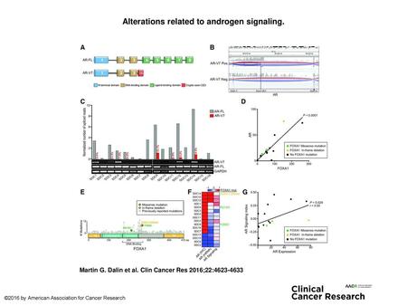Alterations related to androgen signaling.