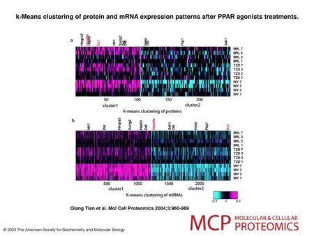 K-Means clustering of protein and mRNA expression patterns after PPAR agonists treatments. k-Means clustering of protein and mRNA expression patterns after.