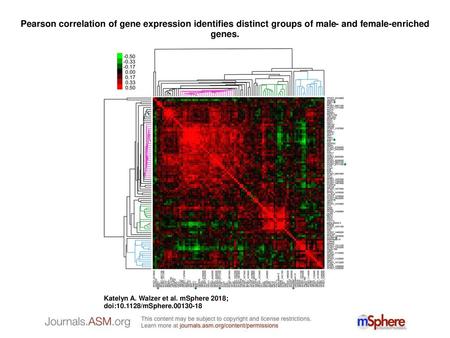 Pearson correlation of gene expression identifies distinct groups of male- and female-enriched genes. Pearson correlation of gene expression identifies.