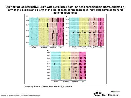 Distribution of informative SNPs with LOH (black bars) on each chromosome (rows, oriented p-arm at the bottom and q-arm at the top of each chromosome)