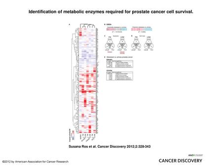 Identification of metabolic enzymes required for prostate cancer cell survival. Identification of metabolic enzymes required for prostate cancer cell survival.