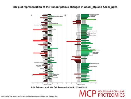 Bar plot representation of the transcriptomic changes in Δsaci_ptp and Δsaci_pp2a. Bar plot representation of the transcriptomic changes in Δsaci_ptp and.