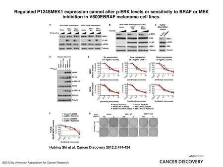 Regulated P124SMEK1 expression cannot alter p-ERK levels or sensitivity to BRAF or MEK inhibition in V600EBRAF melanoma cell lines. Regulated P124SMEK1.
