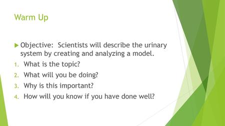 Warm Up Objective: Scientists will describe the urinary system by creating and analyzing a model. What is the topic? What will you be doing? Why is this.