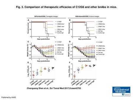 Comparison of therapeutic efficacies of C12G6 and other bnAbs in mice