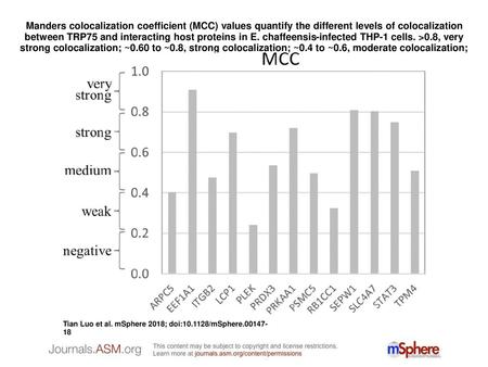 Manders colocalization coefficient (MCC) values quantify the different levels of colocalization between TRP75 and interacting host proteins in E. chaffeensis-infected.