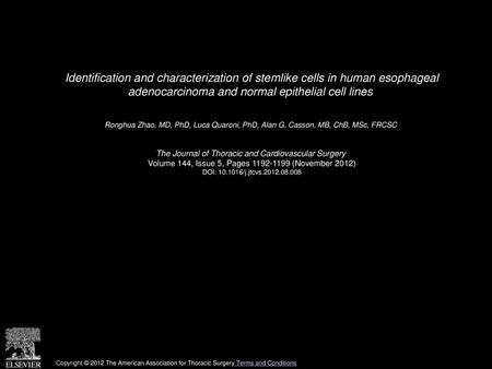 Identification and characterization of stemlike cells in human esophageal adenocarcinoma and normal epithelial cell lines  Ronghua Zhao, MD, PhD, Luca.