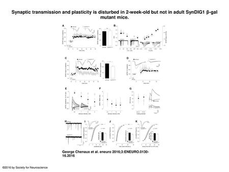 Synaptic transmission and plasticity is disturbed in 2-week-old but not in adult SynDIG1 β-gal mutant mice. Synaptic transmission and plasticity is disturbed.