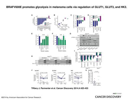 BRAFV600E promotes glycolysis in melanoma cells via regulation of GLUT1, GLUT3, and HK2. BRAFV600E promotes glycolysis in melanoma cells via regulation.