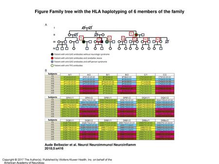 Figure Family tree with the HLA haplotyping of 6 members of the family