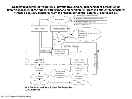 Schematic diagram of the potential psychophysiological mechanism of perception of breathlessness in obese adults with dyspnoea on exertion. 1: increased.