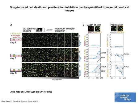 Drug‐induced cell death and proliferation inhibition can be quantified from serial confocal images Drug‐induced cell death and proliferation inhibition.