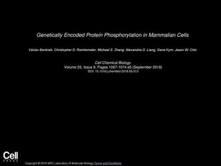 Genetically Encoded Protein Phosphorylation in Mammalian Cells