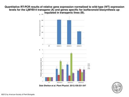 Quantitative RT-PCR results of relative gene expression normalized to wild-type (WT) expression levels for the LjMYB14 transgene (A) and genes specific.