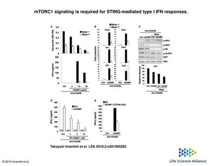 mTORC1 signaling is required for STING-mediated type I IFN responses.