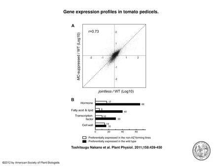 Gene expression profiles in tomato pedicels.