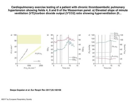 Cardiopulmonary exercise testing of a patient with chronic thromboembolic pulmonary hypertension showing fields 4, 6 and 9 of the Wasserman panel. a) Elevated.