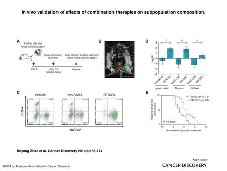 In vivo validation of effects of combination therapies on subpopulation composition. In vivo validation of effects of combination therapies on subpopulation.