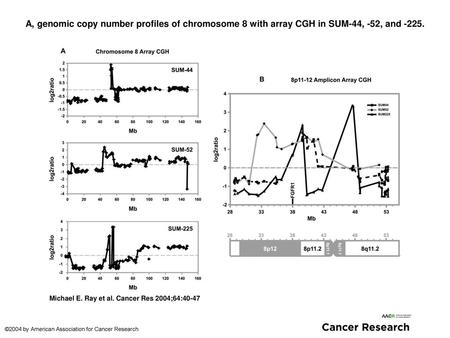 A, genomic copy number profiles of chromosome 8 with array CGH in SUM-44, -52, and -225. A, genomic copy number profiles of chromosome 8 with array CGH.