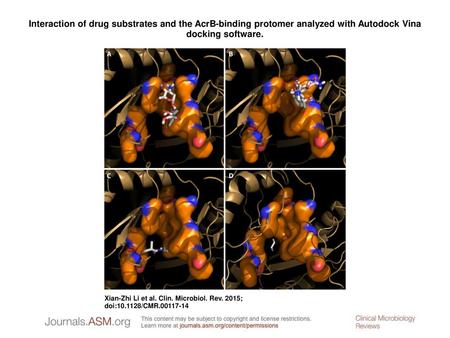 Interaction of drug substrates and the AcrB-binding protomer analyzed with Autodock Vina docking software. Interaction of drug substrates and the AcrB-binding.