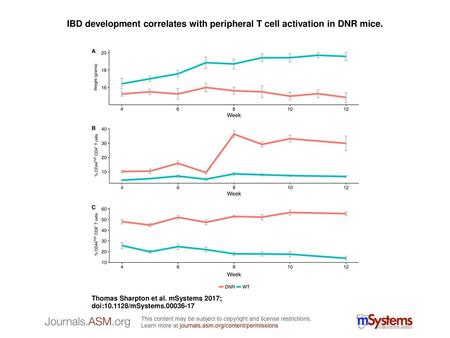 IBD development correlates with peripheral T cell activation in DNR mice. IBD development correlates with peripheral T cell activation in DNR mice. (A)