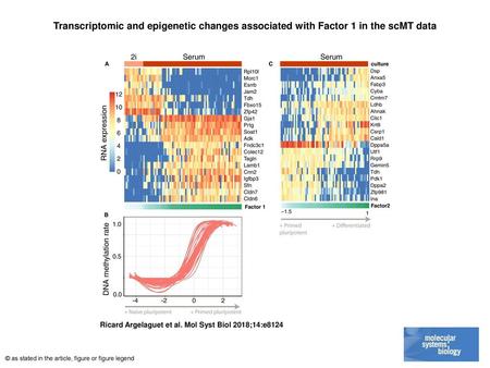 Transcriptomic and epigenetic changes associated with Factor 1 in the scMT data Transcriptomic and epigenetic changes associated with Factor 1 in the scMT.